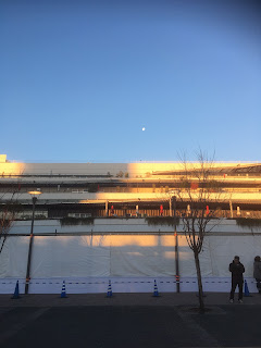 地域独特の病気・外傷