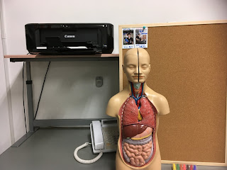 総合診療　医局　地域医療　教授