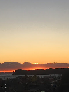 総合診療科として充実の1ヶ月