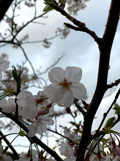 こんな状況だからこそ、考えながら始める