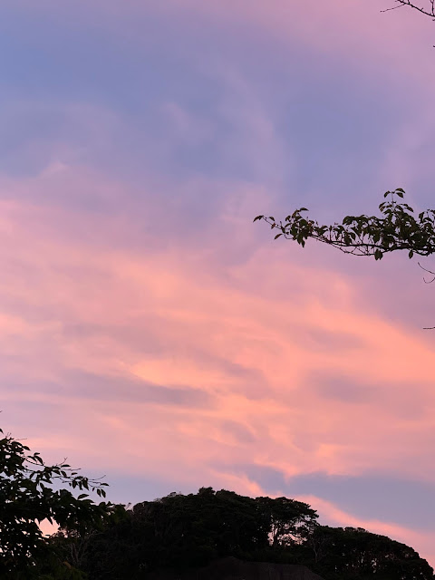 なぜ、診断につまるのか？