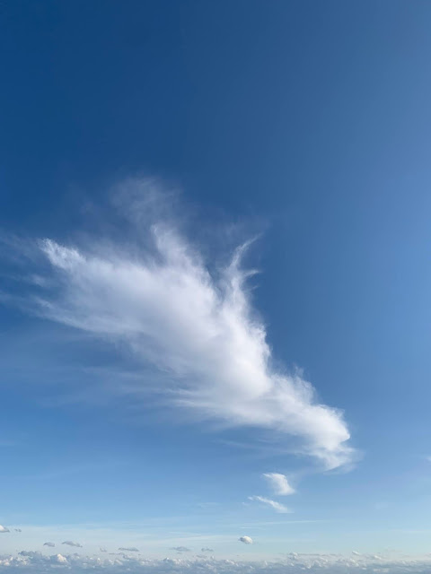 モットーは、楽しく仕事をすること