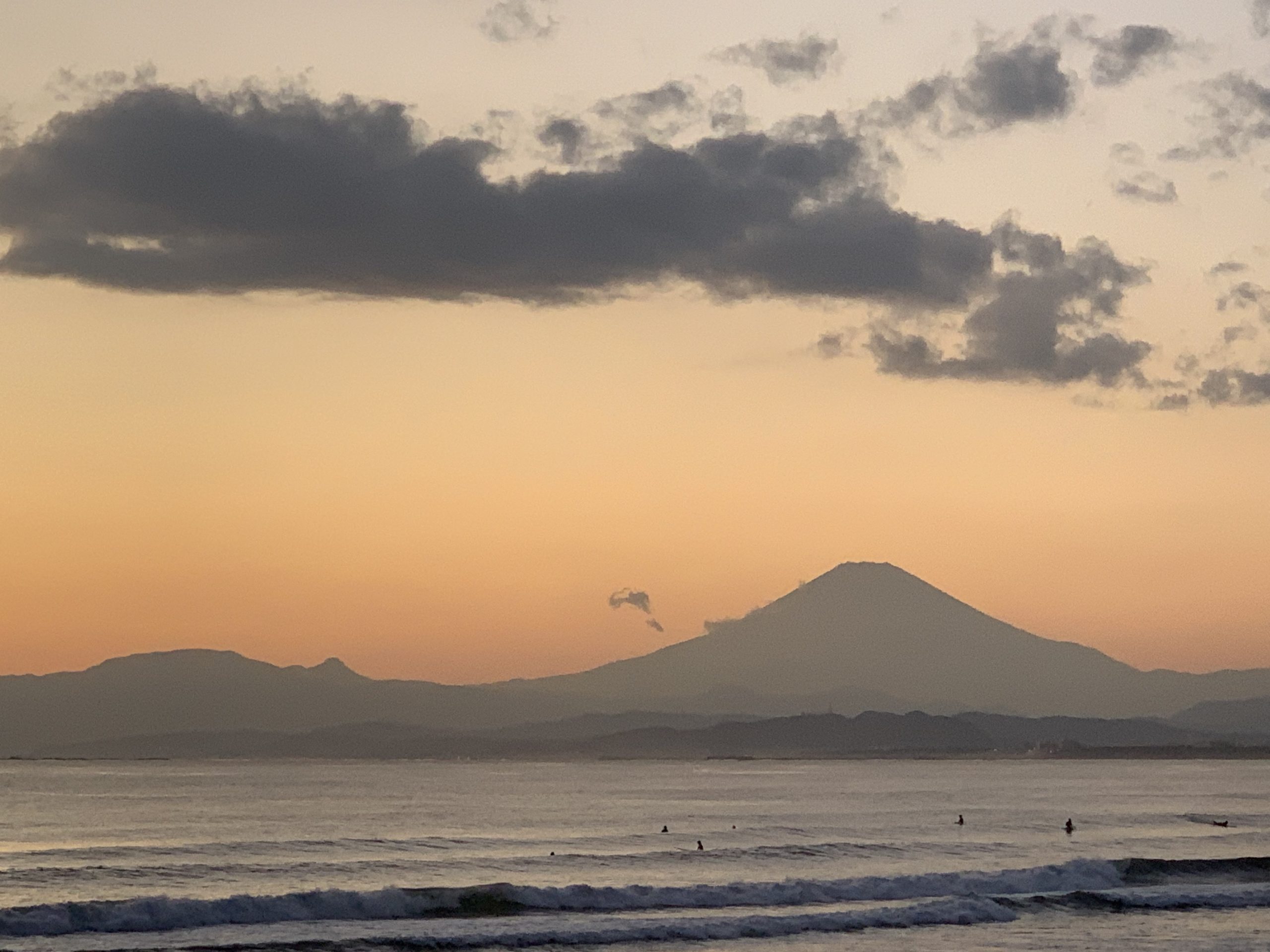 学生実習を開始した11月12月